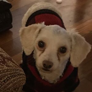 Meet your Posher, Jonathan